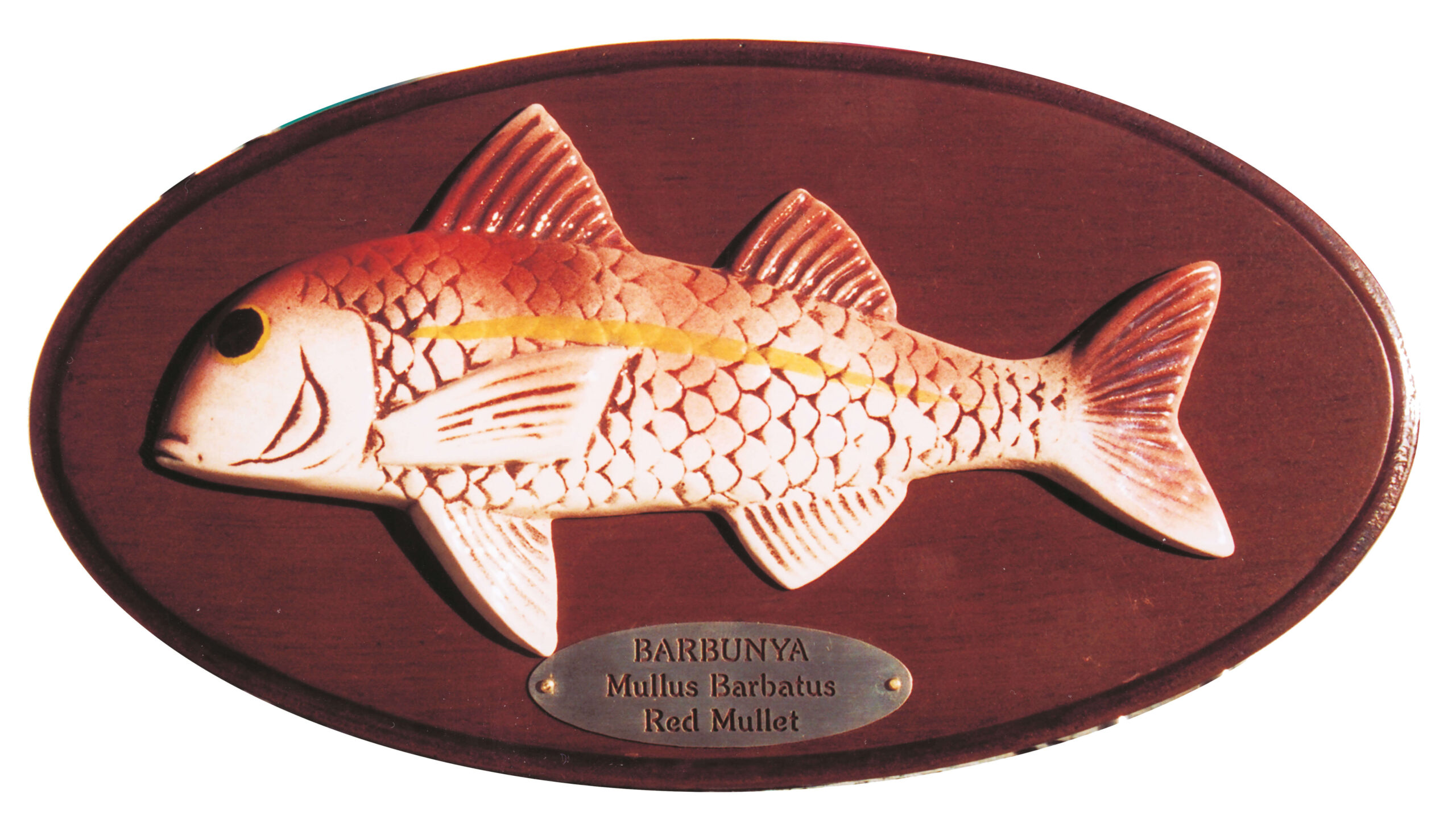Barbunya Balık