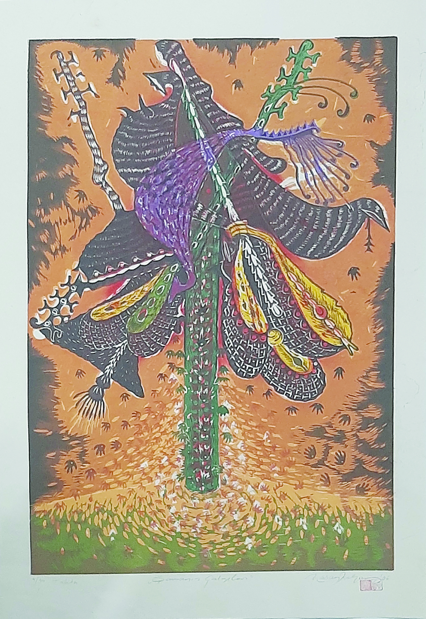 Şamanın çalgıları