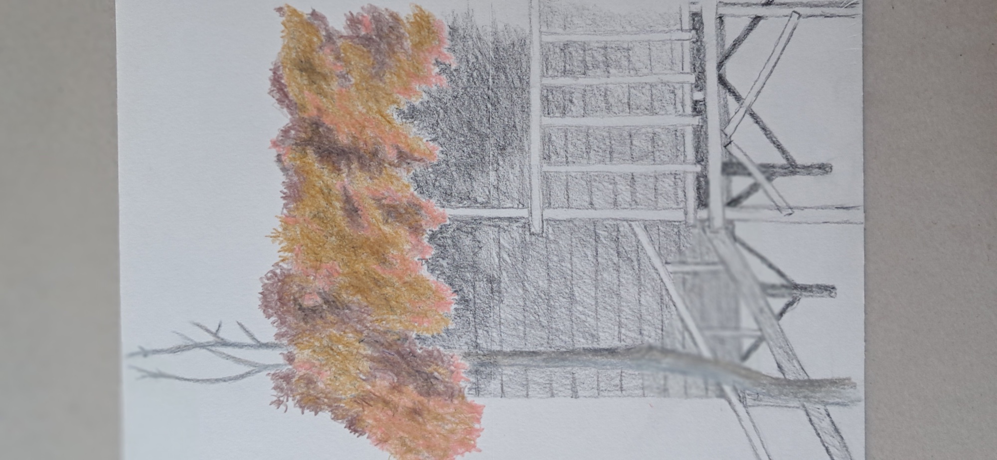 Çiler Belen – Çardaklar – 6. Seri, Desen 11