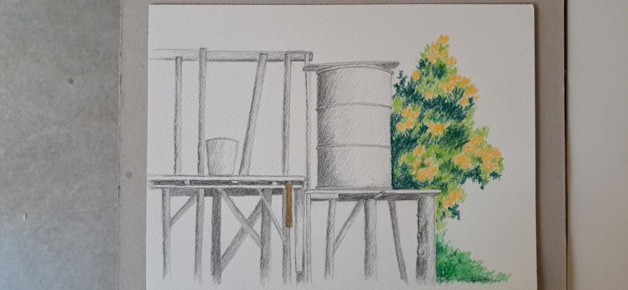 Çiler Belen – Çardaklar – 6. Seri, Desen 12