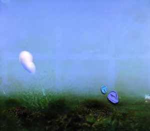 Ekrem Kahraman - Sosyal Realite