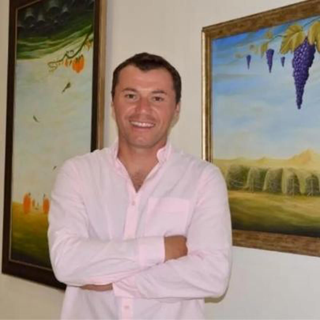Sinan Demir portre